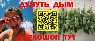 хмурый Дубна