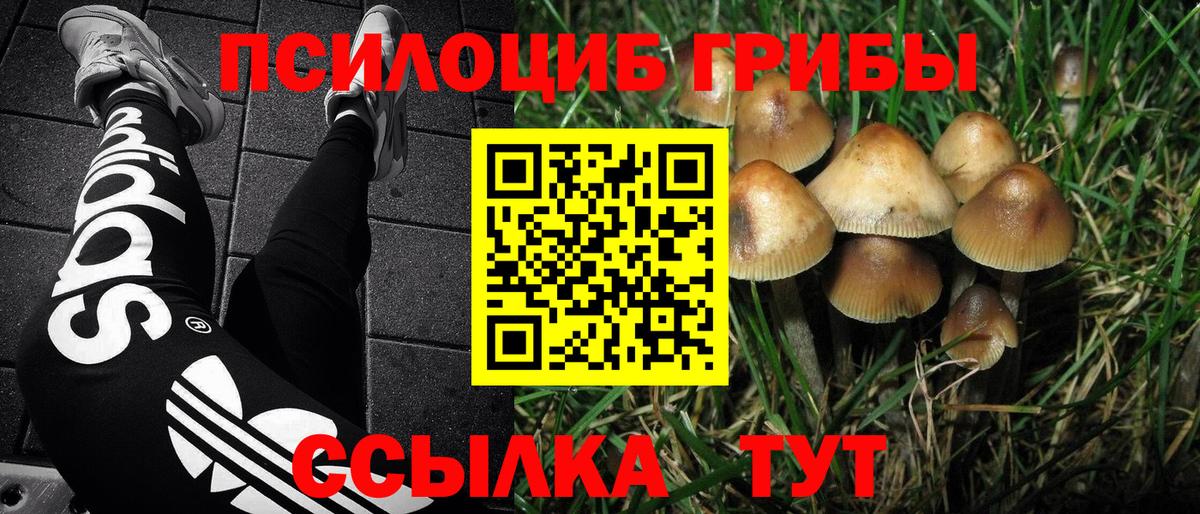 Галлюциногенные грибы мицелий Мариинск