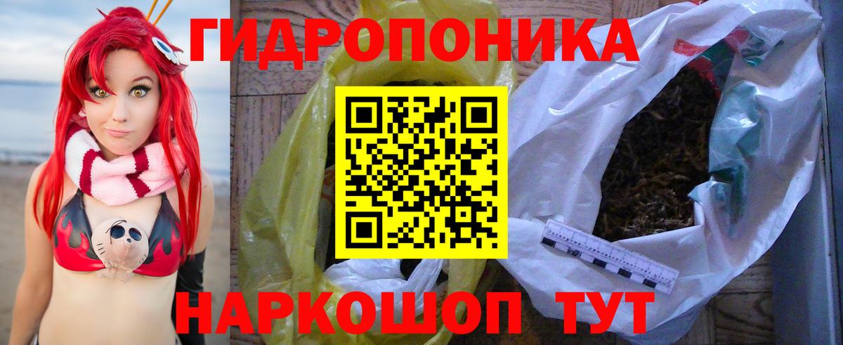 Конопля планчик Мариинск